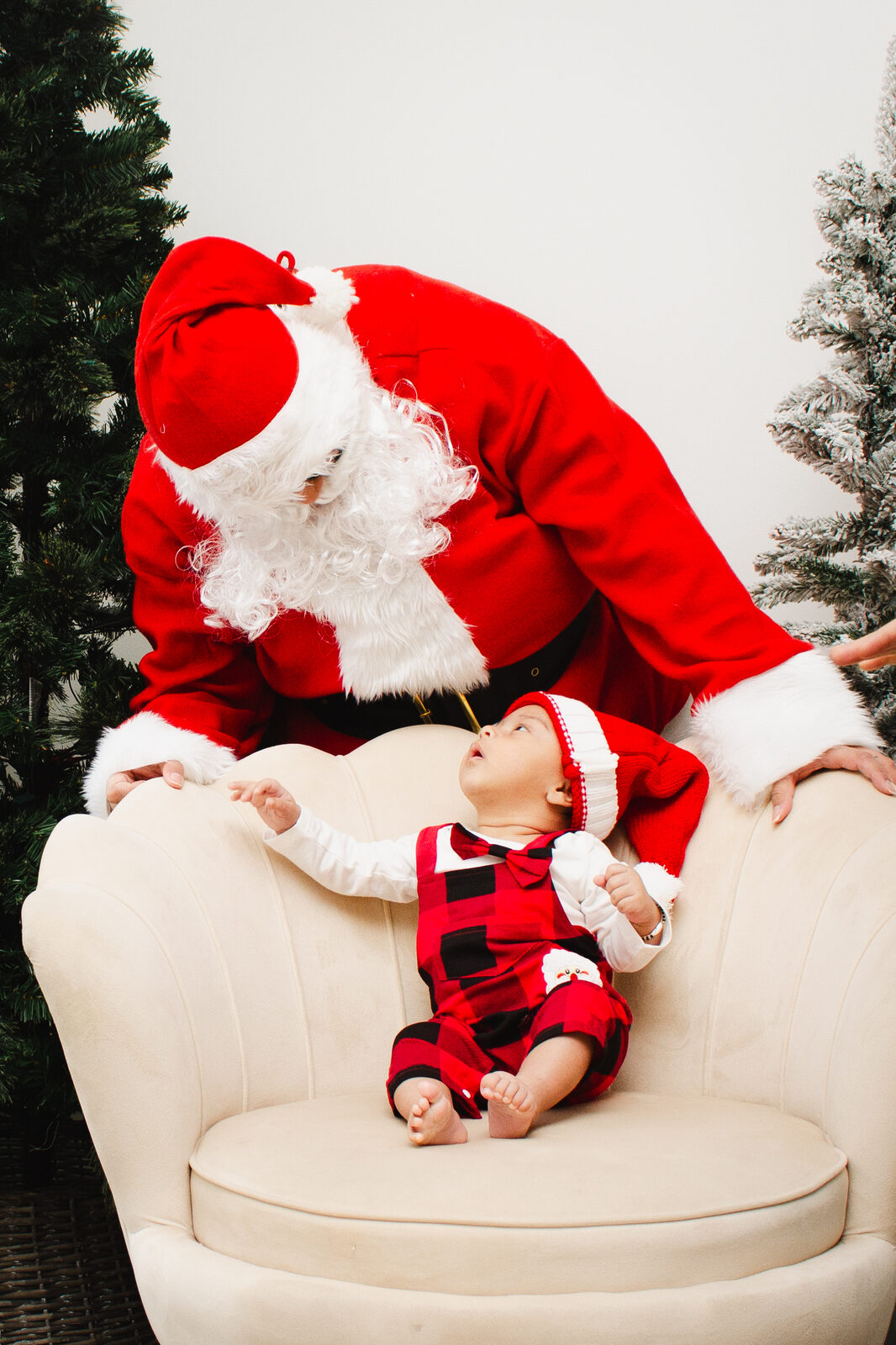 Christmas session photo photo 2
