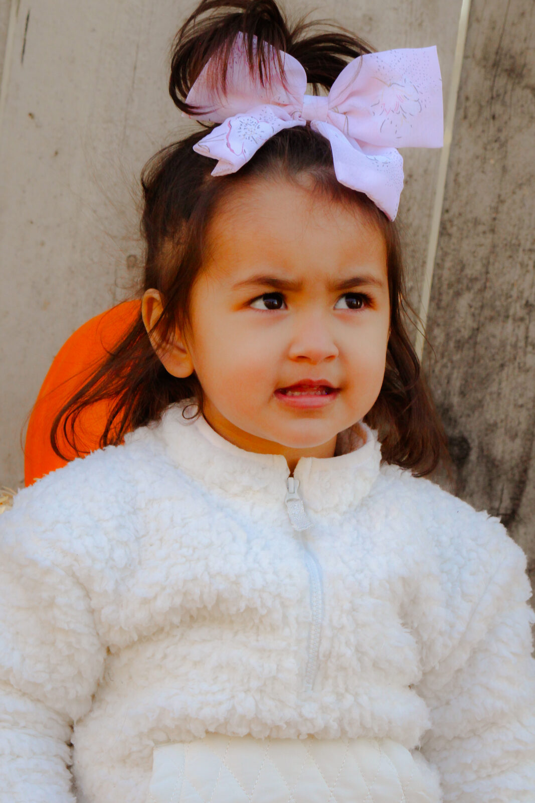 Portrait session photo 8